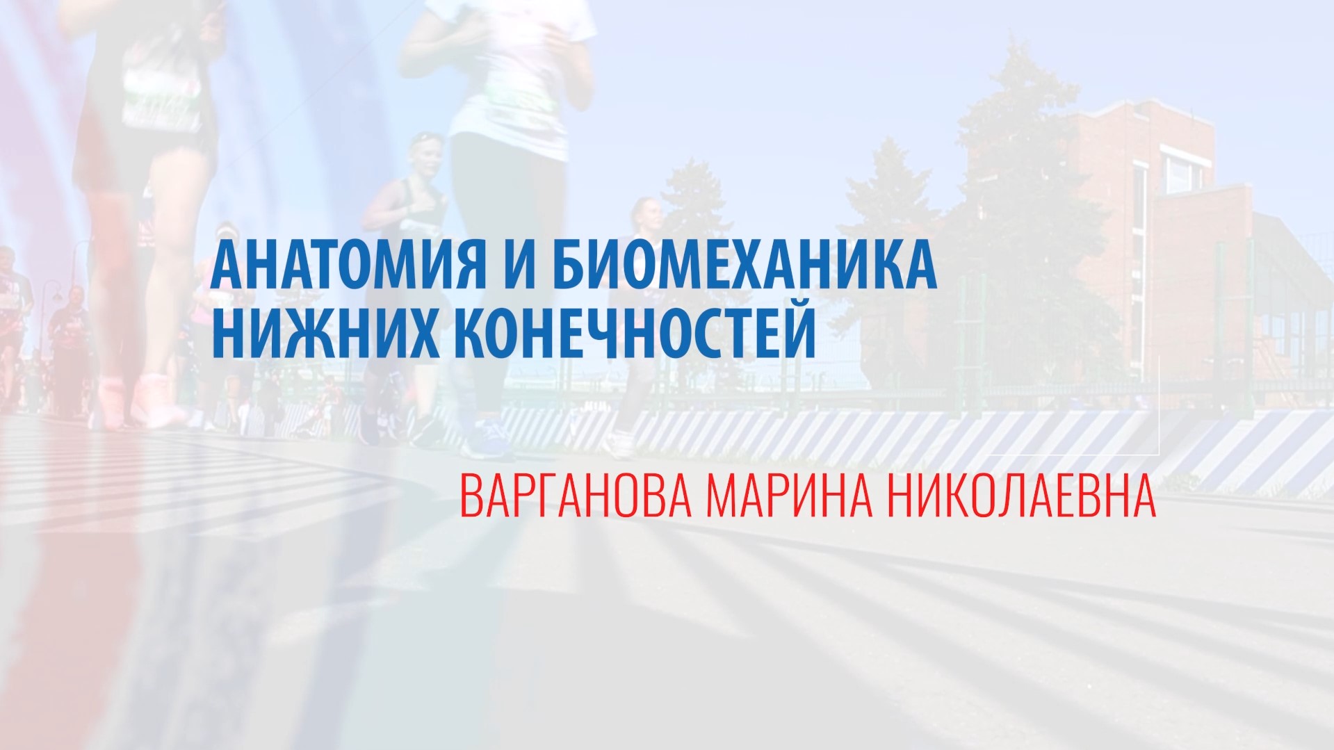 Анатомия и биомеханика нижних конечностей